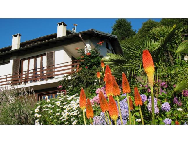 Anteprima foto 6 - Altro in Vendita a Massino Visconti - San Salvatore