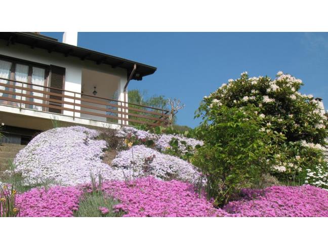 Anteprima foto 7 - Altro in Vendita a Massino Visconti - San Salvatore