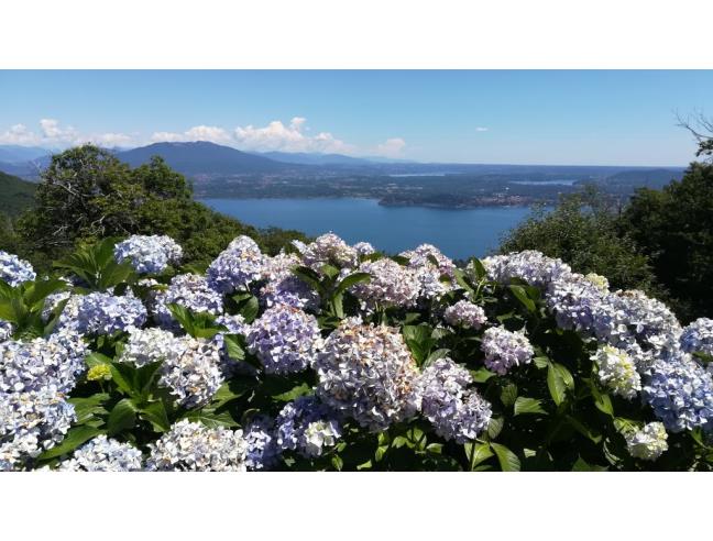 Anteprima foto 8 - Altro in Vendita a Massino Visconti - San Salvatore