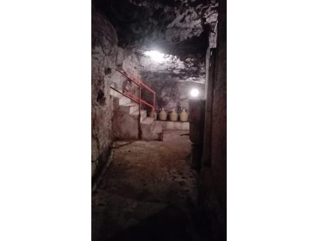 Anteprima foto 3 - Altro in Vendita a Melfi (Potenza)