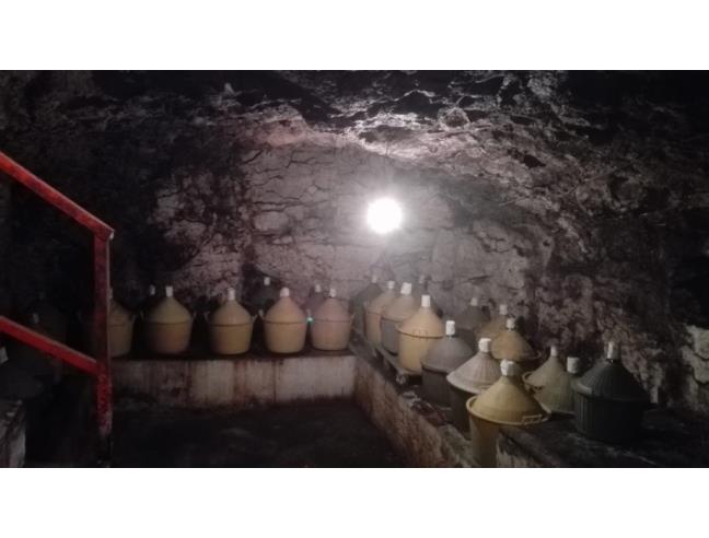 Anteprima foto 8 - Altro in Vendita a Melfi (Potenza)