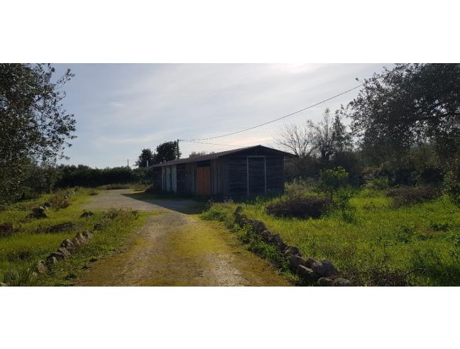 Anteprima foto 3 - Altro in Vendita a Melilli (Siracusa)