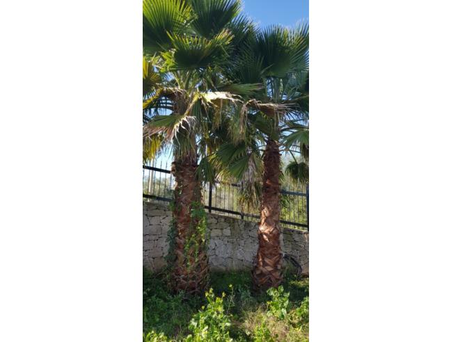 Anteprima foto 5 - Altro in Vendita a Melilli (Siracusa)