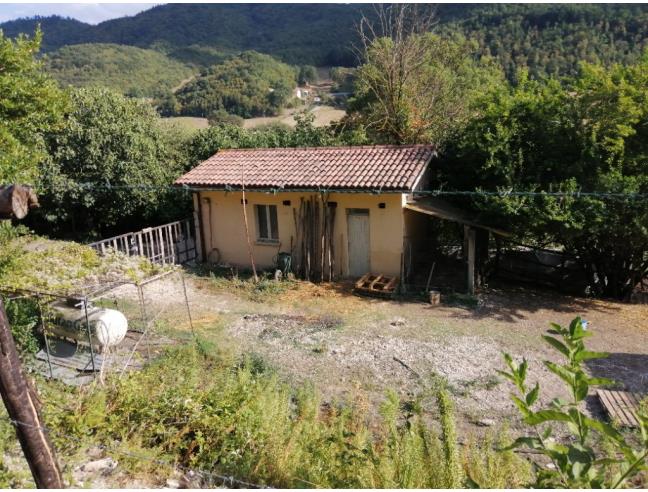 Anteprima foto 2 - Altro in Vendita a Mercatello sul Metauro (Pesaro e Urbino)
