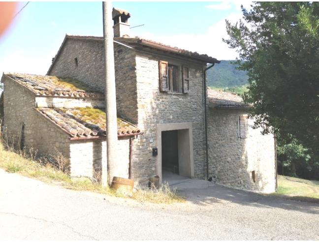 Anteprima foto 3 - Altro in Vendita a Mercatello sul Metauro (Pesaro e Urbino)