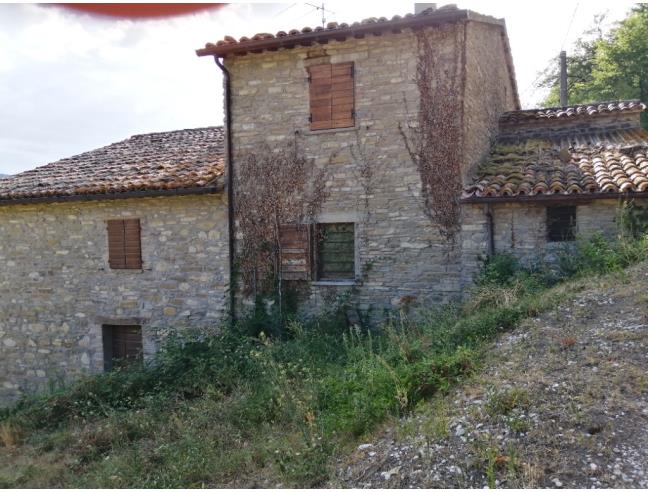 Anteprima foto 4 - Altro in Vendita a Mercatello sul Metauro (Pesaro e Urbino)