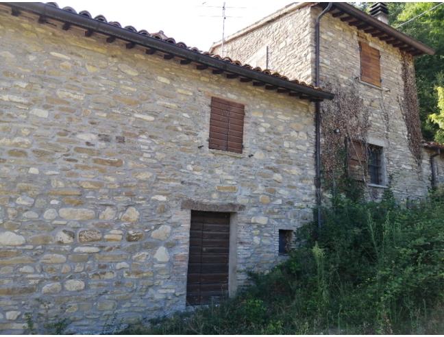 Anteprima foto 5 - Altro in Vendita a Mercatello sul Metauro (Pesaro e Urbino)