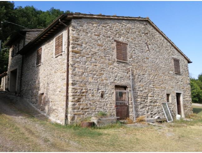 Anteprima foto 7 - Altro in Vendita a Mercatello sul Metauro (Pesaro e Urbino)