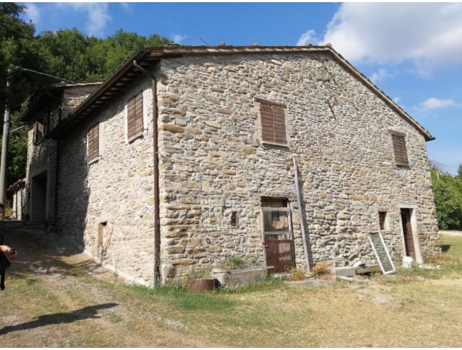 Anteprima foto 8 - Altro in Vendita a Mercatello sul Metauro (Pesaro e Urbino)