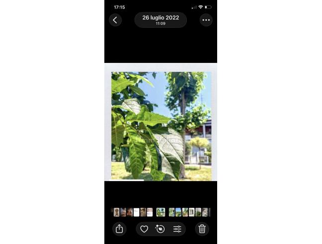 Anteprima foto 2 - Altro in Vendita a Modena - Villaggio Artigiano Modena Nord