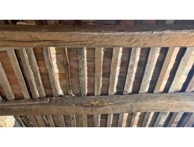 Anteprima foto 2 - Altro in Vendita a Monteleone d'Orvieto (Terni)