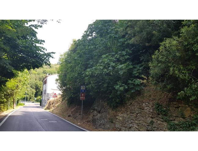 Anteprima foto 2 - Altro in Vendita a Monterotondo Marittimo (Grosseto)