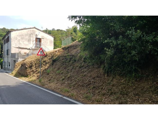 Anteprima foto 3 - Altro in Vendita a Monterotondo Marittimo (Grosseto)