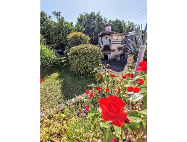 Anteprima foto 3 - Altro in Vendita a Montignoso - Renella