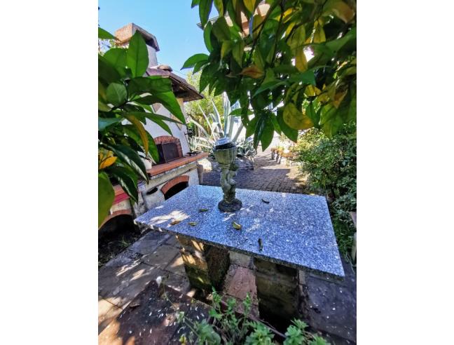 Anteprima foto 5 - Altro in Vendita a Montignoso - Renella