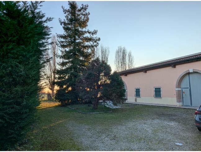 Anteprima foto 3 - Altro in Vendita a Nanto (Vicenza)