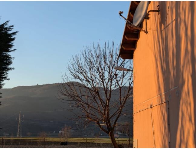 Anteprima foto 6 - Altro in Vendita a Nanto (Vicenza)