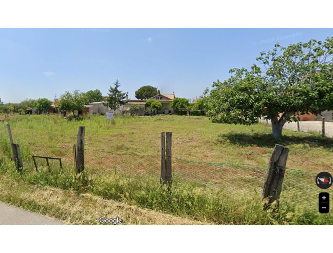 Anteprima foto 2 - Altro in Vendita a Nettuno (Roma)