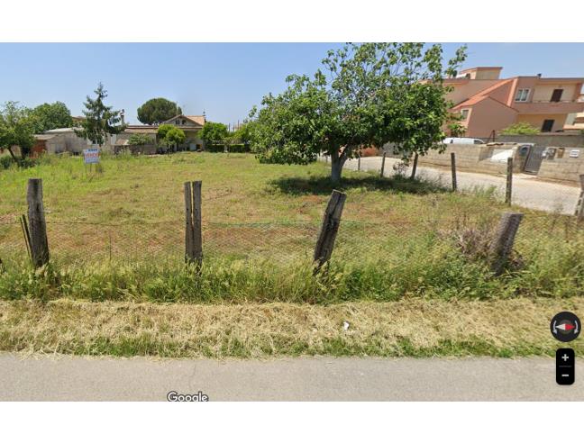 Anteprima foto 3 - Altro in Vendita a Nettuno (Roma)