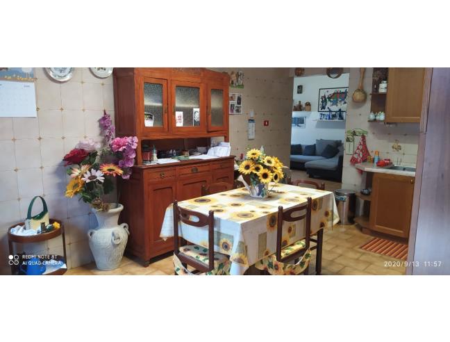 Anteprima foto 4 - Altro in Vendita a Nole (Torino)