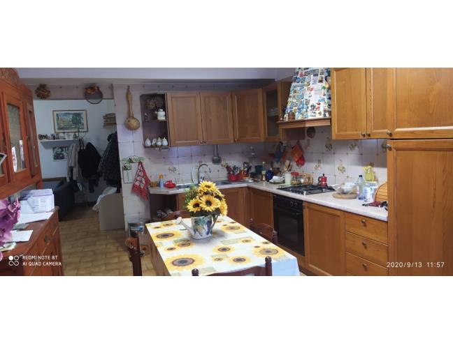 Anteprima foto 5 - Altro in Vendita a Nole (Torino)