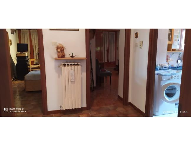 Anteprima foto 6 - Altro in Vendita a Nole (Torino)