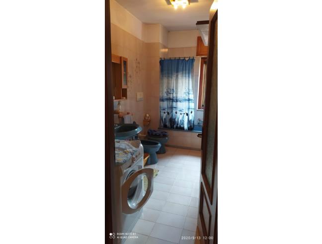 Anteprima foto 7 - Altro in Vendita a Nole (Torino)