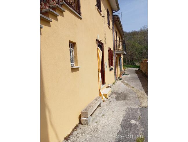 Anteprima foto 3 - Altro in Vendita a Norcia - Ocrichio