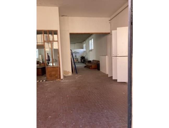 Anteprima foto 6 - Altro in Vendita a Novafeltria (Rimini)
