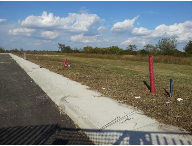 Anteprima foto 5 - Altro in Vendita a Occhiobello - Santa Maria Maddalena