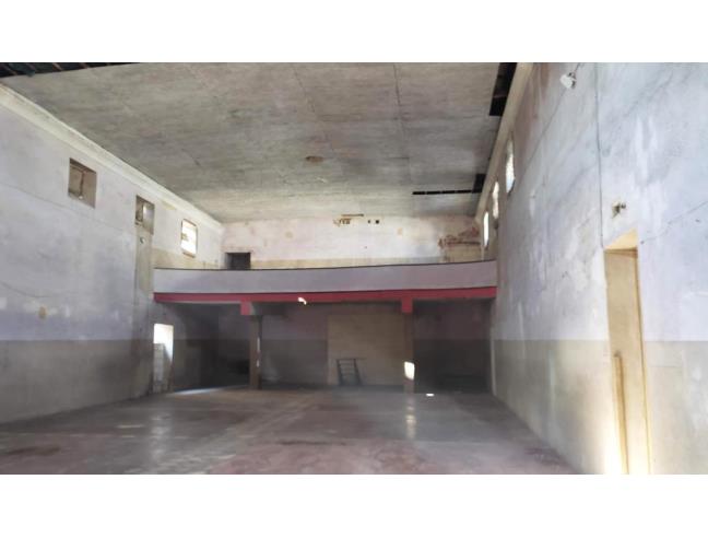 Anteprima foto 8 - Altro in Vendita a Oria (Brindisi)