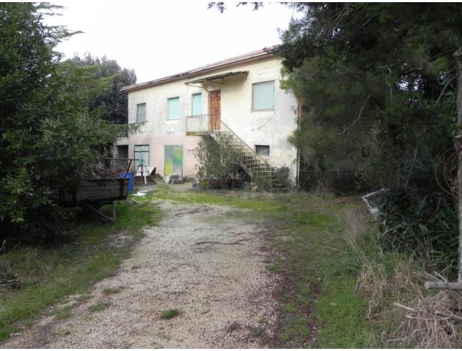 Anteprima foto 2 - Altro in Vendita a Osimo (Ancona)