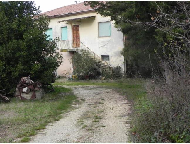 Anteprima foto 3 - Altro in Vendita a Osimo (Ancona)