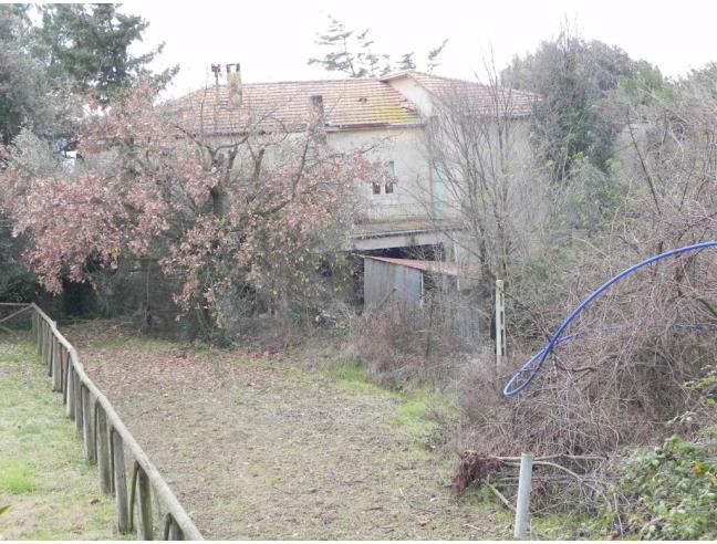 Anteprima foto 4 - Altro in Vendita a Osimo (Ancona)