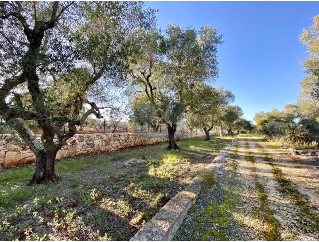 Anteprima foto 3 - Altro in Vendita a Ostuni (Brindisi)