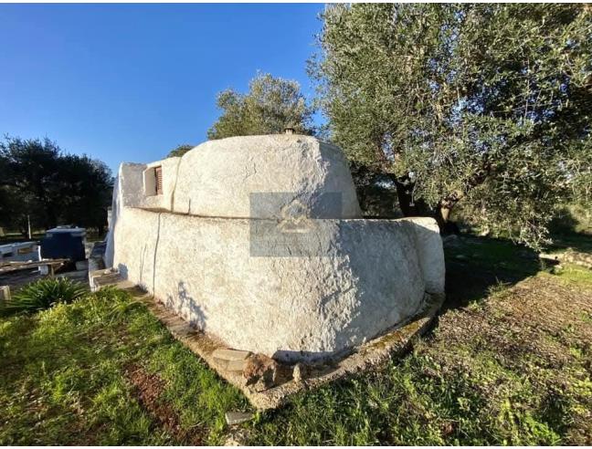 Anteprima foto 4 - Altro in Vendita a Ostuni (Brindisi)