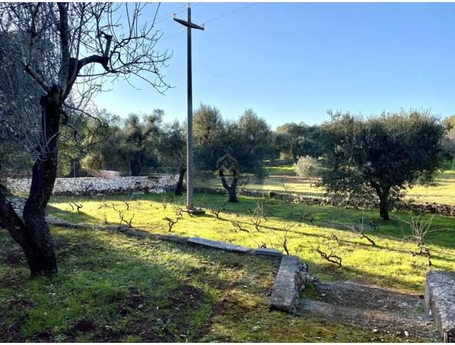 Anteprima foto 6 - Altro in Vendita a Ostuni (Brindisi)