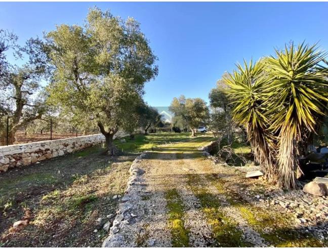 Anteprima foto 7 - Altro in Vendita a Ostuni (Brindisi)