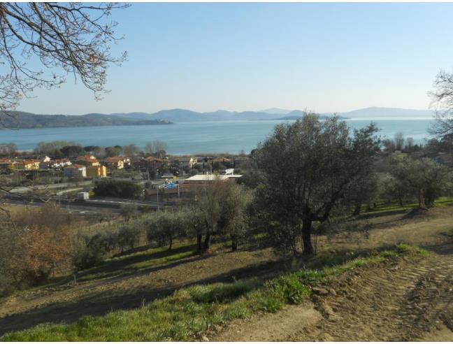 Anteprima foto 2 - Altro in Vendita a Passignano sul Trasimeno - Cerqueto