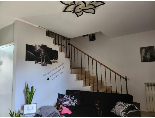 Anteprima foto 3 - Altro in Vendita a Peccioli (Pisa)