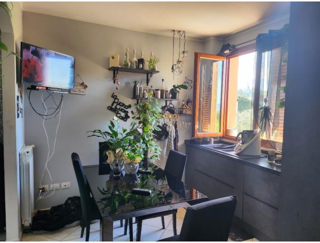 Anteprima foto 6 - Altro in Vendita a Peccioli (Pisa)