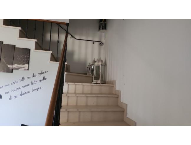 Anteprima foto 7 - Altro in Vendita a Peccioli (Pisa)