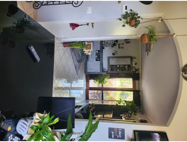 Anteprima foto 8 - Altro in Vendita a Peccioli (Pisa)