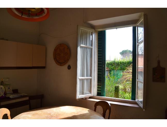 Anteprima foto 3 - Altro in Vendita a Pistoia (Pistoia)