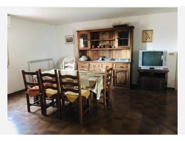 Anteprima foto 4 - Altro in Vendita a Pitigliano (Grosseto)