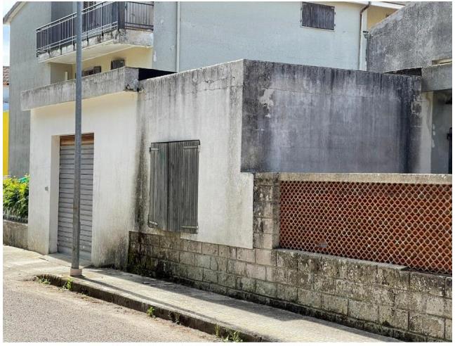 Anteprima foto 4 - Altro in Vendita a Ploaghe (Sassari)