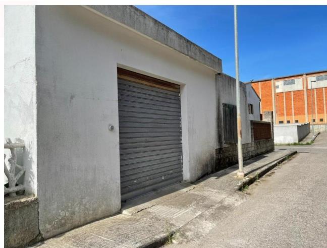 Anteprima foto 5 - Altro in Vendita a Ploaghe (Sassari)