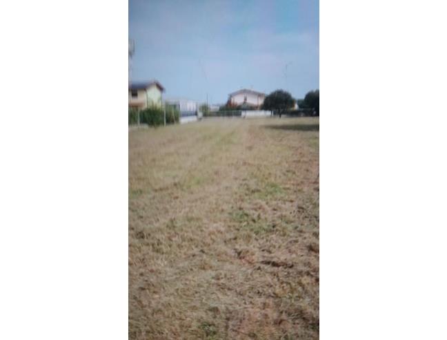 Anteprima foto 3 - Altro in Vendita a Precenicco (Udine)