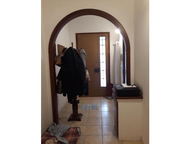 Anteprima foto 2 - Altro in Vendita a Riva del Po (Ferrara)