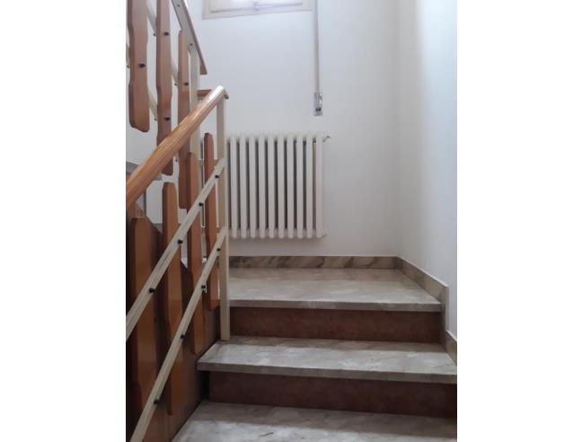 Anteprima foto 7 - Altro in Vendita a Riva del Po (Ferrara)